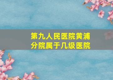 第九人民医院黄浦分院属于几级医院