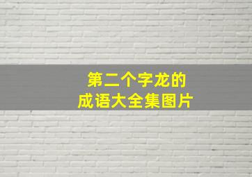 第二个字龙的成语大全集图片