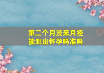 第二个月没来月经能测出怀孕吗准吗