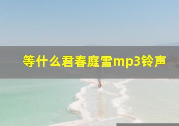 等什么君春庭雪mp3铃声