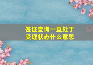 签证查询一直处于受理状态什么意思