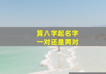 算八字起名字一对还是两对