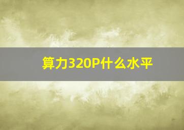 算力320P什么水平