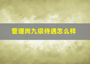 管理岗九级待遇怎么样