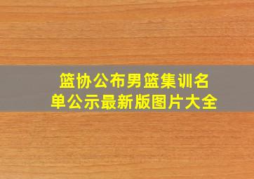 篮协公布男篮集训名单公示最新版图片大全