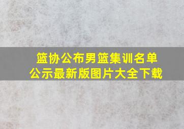 篮协公布男篮集训名单公示最新版图片大全下载