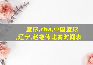 篮球,cba,中国篮球,辽宁,赵继伟比赛时间表