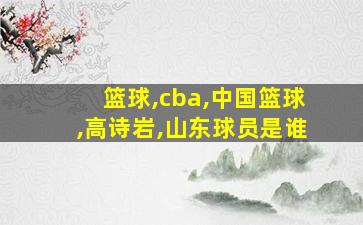 篮球,cba,中国篮球,高诗岩,山东球员是谁