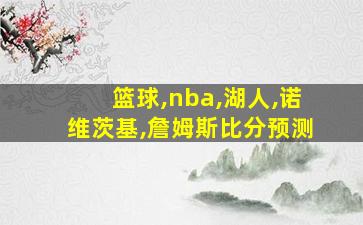 篮球,nba,湖人,诺维茨基,詹姆斯比分预测