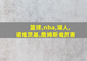 篮球,nba,湖人,诺维茨基,詹姆斯谁厉害