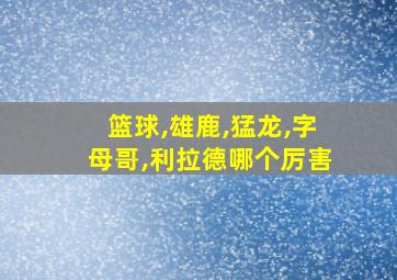 篮球,雄鹿,猛龙,字母哥,利拉德哪个厉害