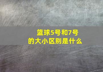 篮球5号和7号的大小区别是什么