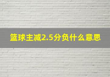 篮球主减2.5分负什么意思