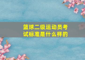 篮球二级运动员考试标准是什么样的