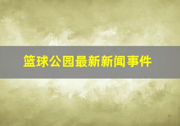 篮球公园最新新闻事件