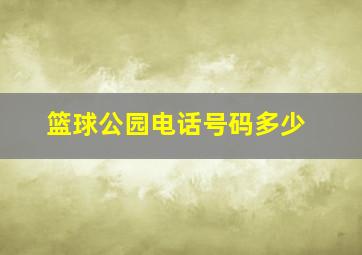 篮球公园电话号码多少