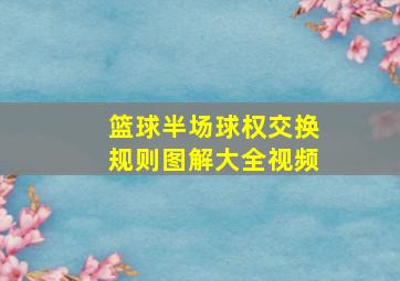 篮球半场球权交换规则图解大全视频