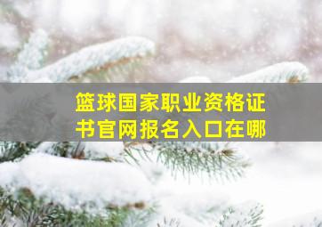 篮球国家职业资格证书官网报名入口在哪