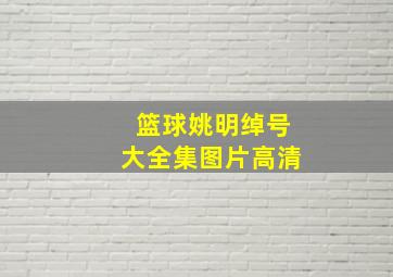 篮球姚明绰号大全集图片高清