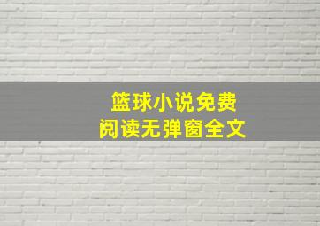 篮球小说免费阅读无弹窗全文