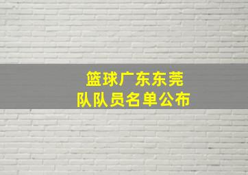 篮球广东东莞队队员名单公布