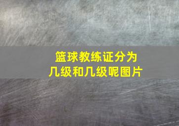 篮球教练证分为几级和几级呢图片