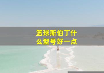 篮球斯伯丁什么型号好一点