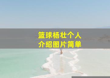 篮球杨壮个人介绍图片简单