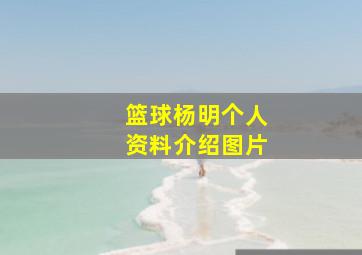 篮球杨明个人资料介绍图片