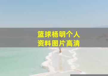 篮球杨明个人资料图片高清