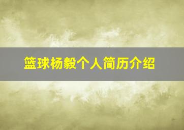 篮球杨毅个人简历介绍