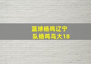 篮球杨鸣辽宁队杨鸣鸟大18