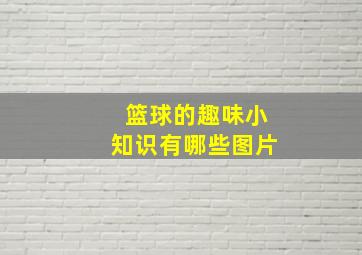 篮球的趣味小知识有哪些图片