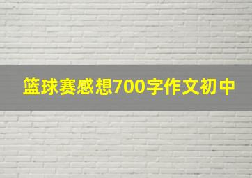 篮球赛感想700字作文初中