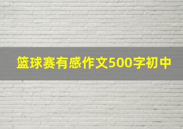 篮球赛有感作文500字初中