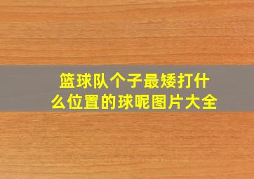 篮球队个子最矮打什么位置的球呢图片大全