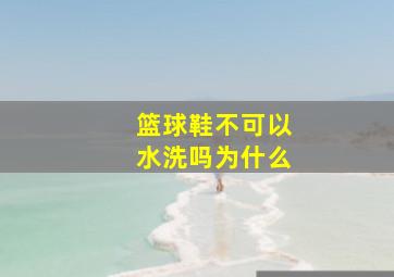 篮球鞋不可以水洗吗为什么