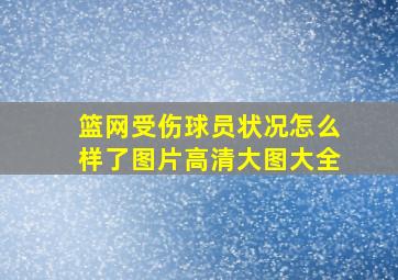 篮网受伤球员状况怎么样了图片高清大图大全