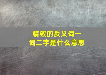 精致的反义词一词二字是什么意思