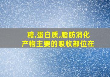 糖,蛋白质,脂肪消化产物主要的吸收部位在