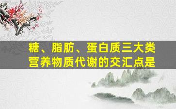 糖、脂肪、蛋白质三大类营养物质代谢的交汇点是