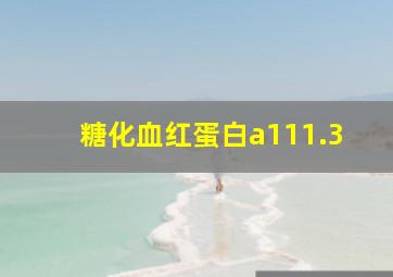 糖化血红蛋白a111.3