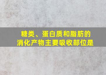 糖类、蛋白质和脂肪的消化产物主要吸收部位是