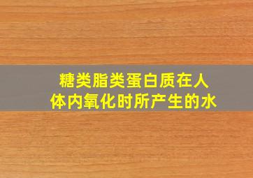 糖类脂类蛋白质在人体内氧化时所产生的水