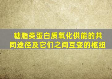 糖脂类蛋白质氧化供能的共同途径及它们之间互变的枢纽