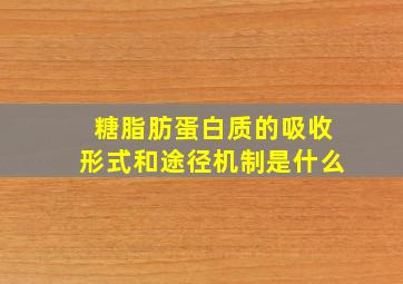 糖脂肪蛋白质的吸收形式和途径机制是什么