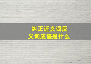 纠正近义词反义词成语是什么