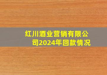 红川酒业营销有限公司2024年回款情况