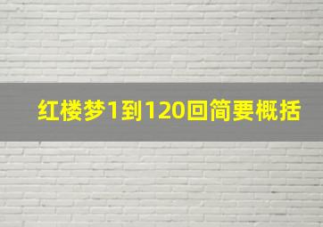 红楼梦1到120回简要概括