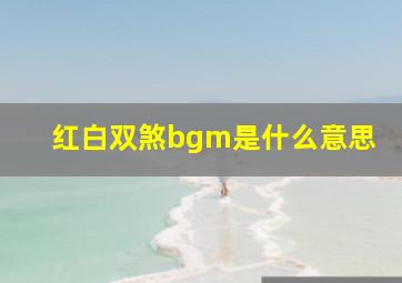 红白双煞bgm是什么意思